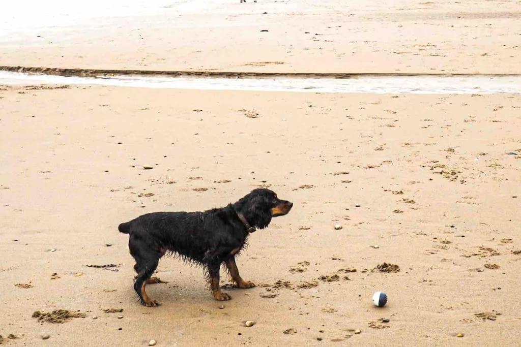 Large Cottage, Beach, Pubs Shops, Netflix, Bbq, Dog Friendly Hunmanby Dış mekan fotoğraf