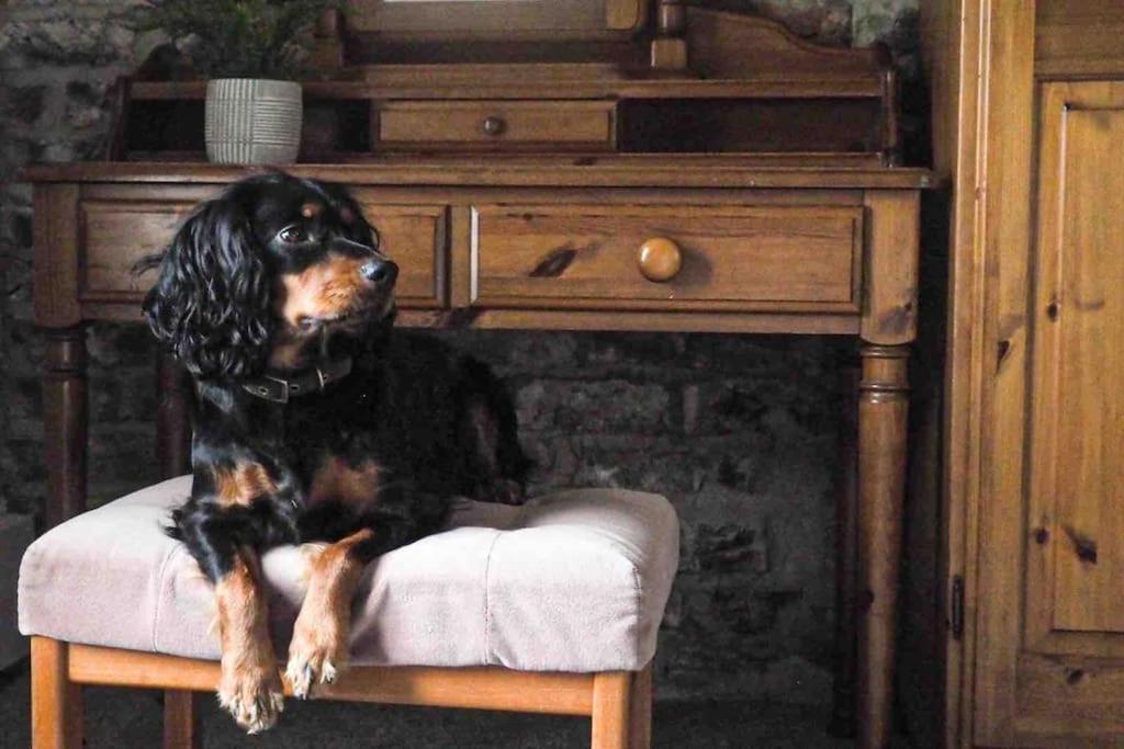 Large Cottage, Beach, Pubs Shops, Netflix, Bbq, Dog Friendly Hunmanby Dış mekan fotoğraf